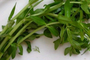 rau-ngo1