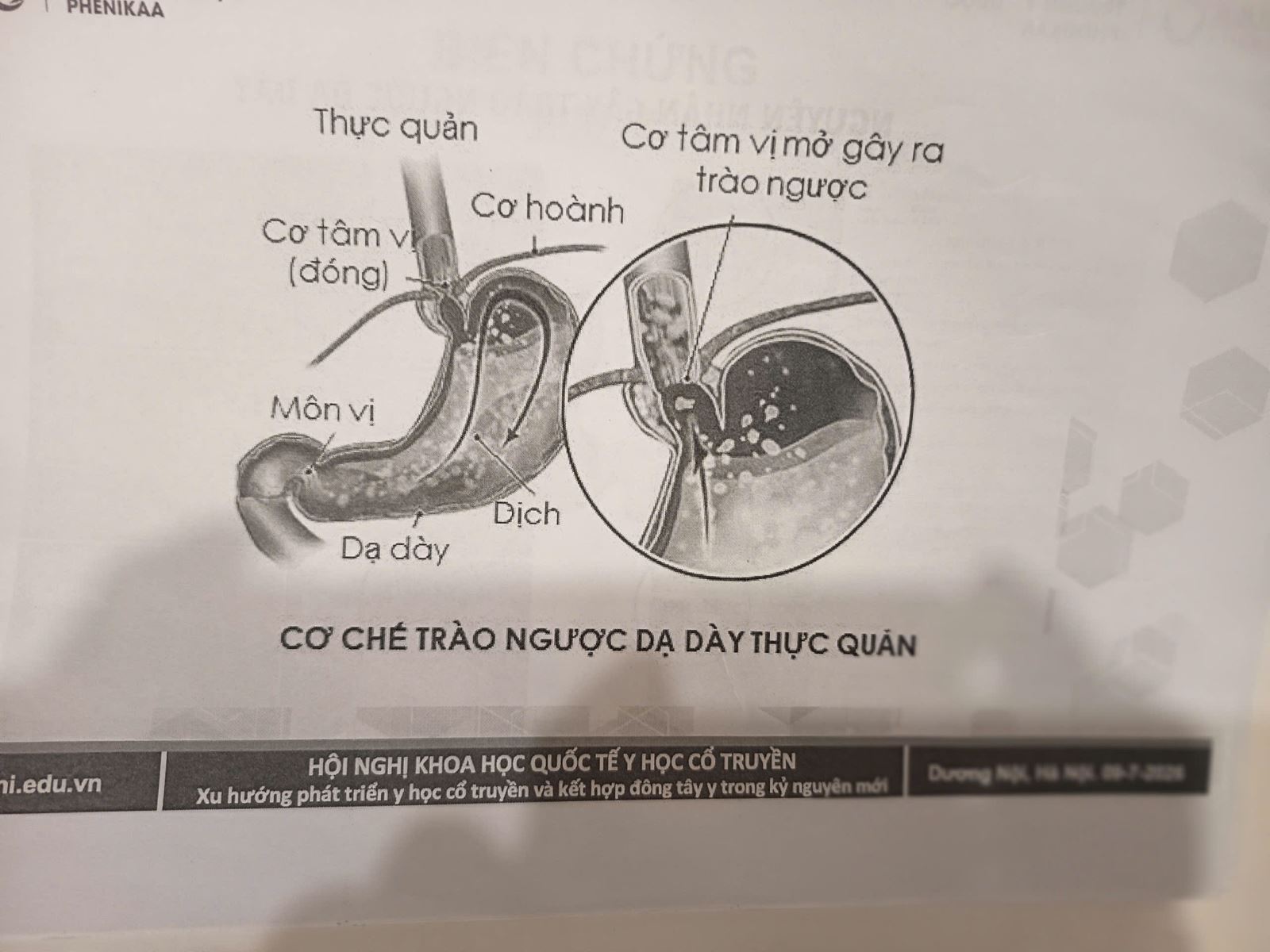 Đ&ocirc;ng Y Ba Đ&igrave;nh