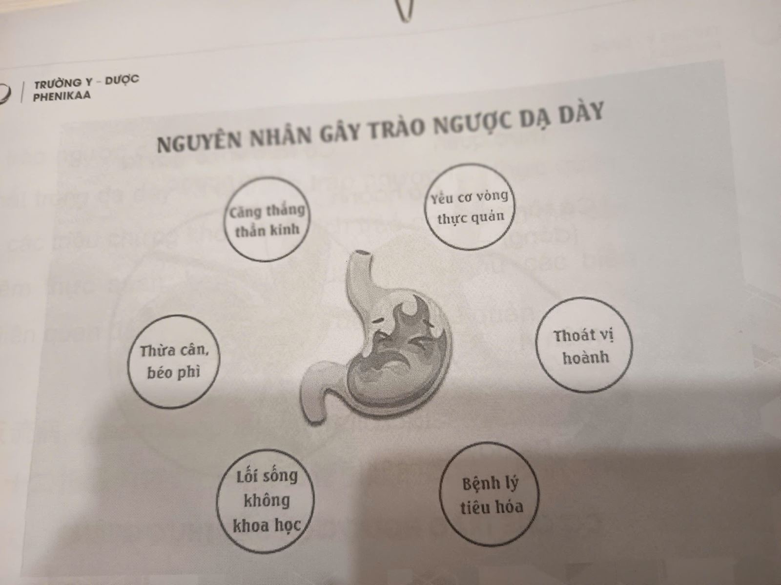 Đ&ocirc;ng Y Ba Đ&igrave;nh